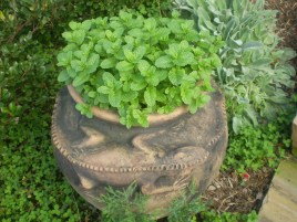 ???????????????????????????????????????