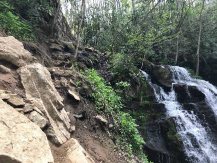 UNADJUSTEDNONRAW_thumb_5827